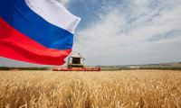 Rusya buğday ihracatında vergiyi yükseltiyor