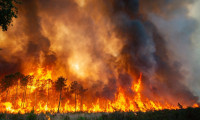 Bu yıl orman yangınlarında 6 bin 900 hektar alan zarar gördü