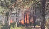 Hacı Bektaş-i Veli Kent Ormanı'nda yangın çıktı