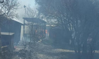 Bodrum'da yangın... 'Tiny house'lara sıçradı