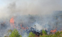 Burdur'da orman yangını 
