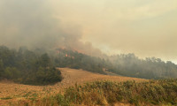 3 ildeki orman yangınları devam ediyor