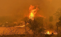 Çanakkale'de orman yangını! 9 köy boşaltıldı