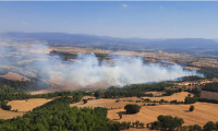 Çanakkale ve Kütahya'da orman yangını