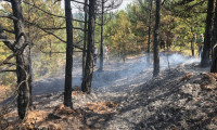 Bilecik'te orman yangını 3 saatte kontrol altına alındı