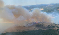 Balıkesir'de orman yangını! Havadan ve karadan müdahale 
