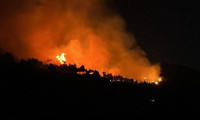 Milas ve Didim'de orman yangını