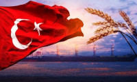 ABD, Türkiye'nin Karadeniz'deki konumundan memnuniyet duyuyor