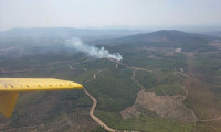 İzmir Torbalı'da orman yangını