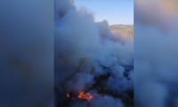 İzmir'de orman yangını: Ekipler sevk edildi