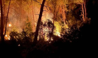Adana'da çıkan orman yangınına karadan müdahale ediliyor