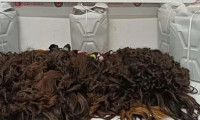 İstanbul’da 100 kilogram insan saçı ele geçirildi