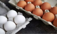Üreticide fiyatı düşen yumurta, markette zamlandı
