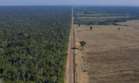 Araştırma: Amazon Ormanları'nın neredeyse yarısı 2050'ye kadar yok olabilir