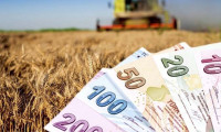 Çiftçilere 50,9 milyon liralık tarımsal destek ödemesi bugün yapılacak