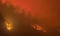 Çin'de orman yangınları
