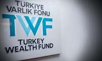 Fitch, Türkiye Varlık Fonu'nun kredi notunu yükseltti