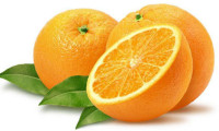 En çok ihraç edilen narenciye portakal oldu