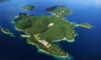 Bu adayı hangi milyarder aldı?
