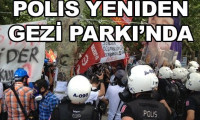 Polis, Gezi Parkı'na girdi