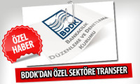BDDK'dan özel sektöre transfer