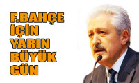 Fenerbahçe Başkanı mı olacak?