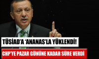 Erdoğan'dan TÜSİAD'a 'ananas' mesajı!
