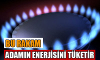 Türkiye'nin enerji faturası 56 milyar dolar