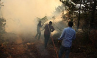 Şile'de 10 hektarlık ormanlık alan yandı