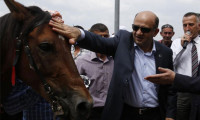 Bakan'a yarış atı hediye edildi