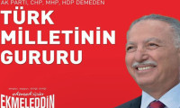 YSK'dan 'İhsanoğlu afişi' kararı