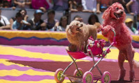 Meksika'da sirklere hayvan yasağı