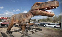 Ankara'daki dinozorların fiyatı belli oldu