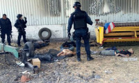 Meksika'da kanlı çatışma: 43 ölü
