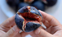 Türkiye incir üretiminde 'Dünya lideri'