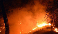 Osmaniye'de orman yangını korkuttu