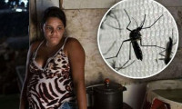 Zika virüsü 33 ülkeye yayıldı