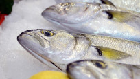 Balık fiyatlarına 'poyraz' etkisi