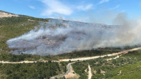 İzmir'in iki ilçesinde orman yangını