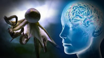 Ahtapot zekasının sırrı: İnsan beyniyle benzerlik var!
