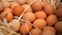 Türkiye’de enflasyonun faturası şimdi de yumurtacılara kesiliyor