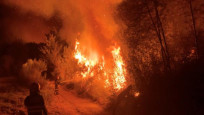 İspanya'da orman yangını: 8 yerleşim yerinde tahliyeler başladı