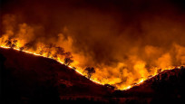 Cezayir'de orman yangını: 26 kişi hayatını kaybetti