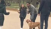 Londra polisi köpeğini tasmasız gezdiren Başbakan Sunak'ı uyardı