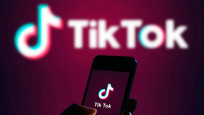 TikTok'a tepki: Kedi videosu yüzünden iş yapamıyoruz