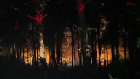 Çekmeköy'de orman yangını