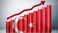 UNCTAD, Türkiye büyüme tahminini revize etti