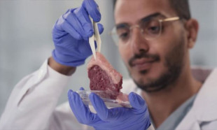 Laboratuvarda üretilen etler iklim değişikliğine çare olabilir mi?