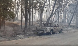 Yunanistan'da çıkan orman yangınlarını söndürme çalışmaları devam ediyor