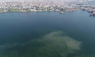 İstanbul sahillerinde müsilaj geri mi dönüyor?